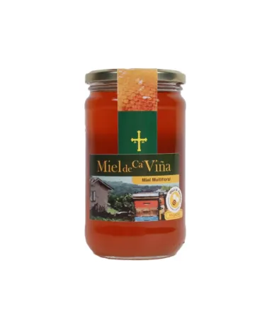 Miel de costa Multifloral 750g